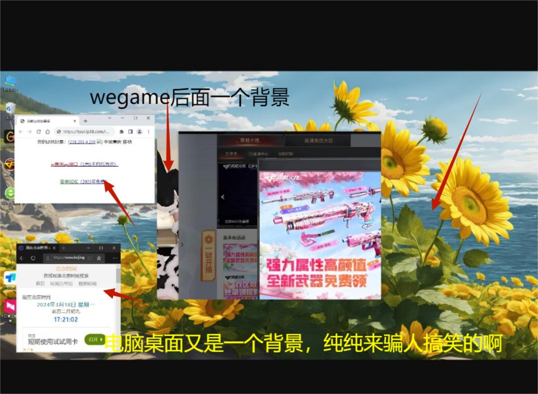 打假证据截图 13